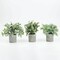 3 Frosted Green Gray 9" Assorted Mini Potted Artificial Plants Party Decorations